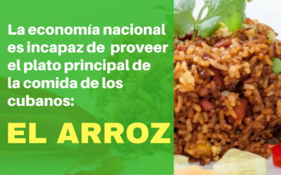 La economía nacional es incapaz de  proveer el plato principal de la comida de los cubanos: el arroz