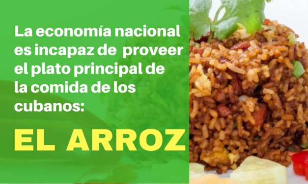 La economía nacional es incapaz de  proveer el plato principal de la comida de los cubanos: el arroz