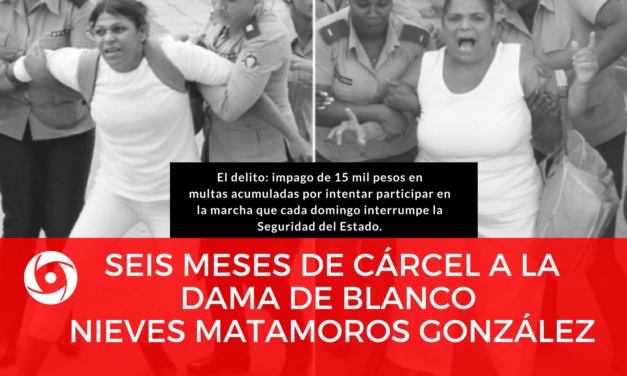 Seis meses de cárcel a la Dama de Blanco