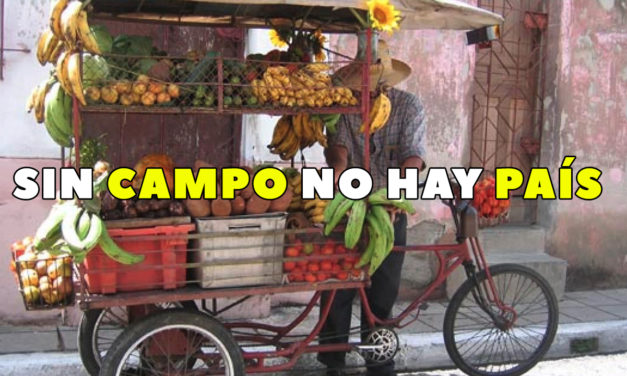 CONCURSO SIN CAMPO NO HAY PAÍS