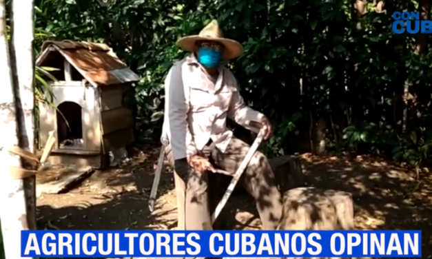 CON CUBA: SIN CAMPO NO HAY PAÍS