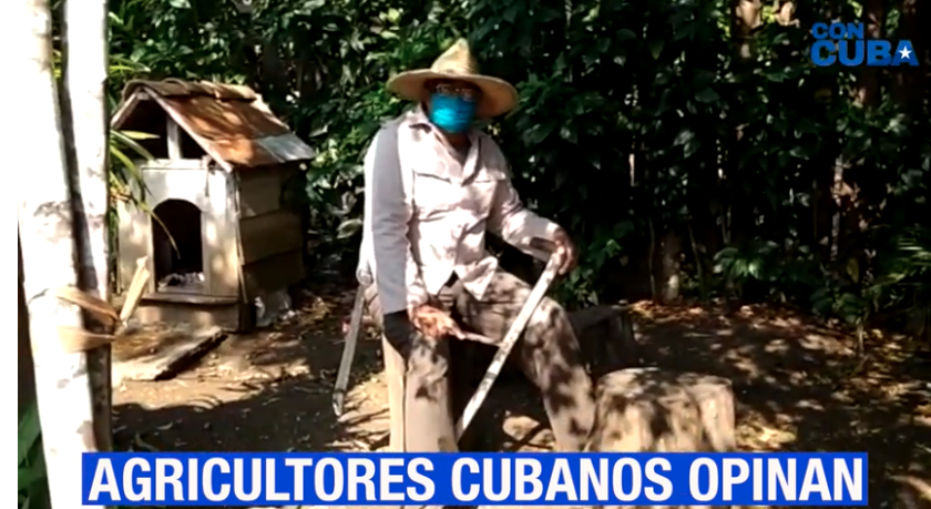 CON CUBA: SIN CAMPO NO HAY PAÍS
