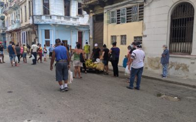 Cómo impedir una hambruna en Cuba