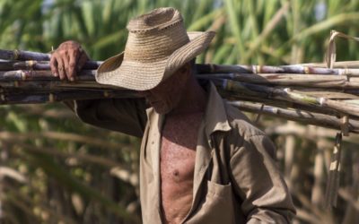 La agroindustria cañera-azucarera no puede ser estatal