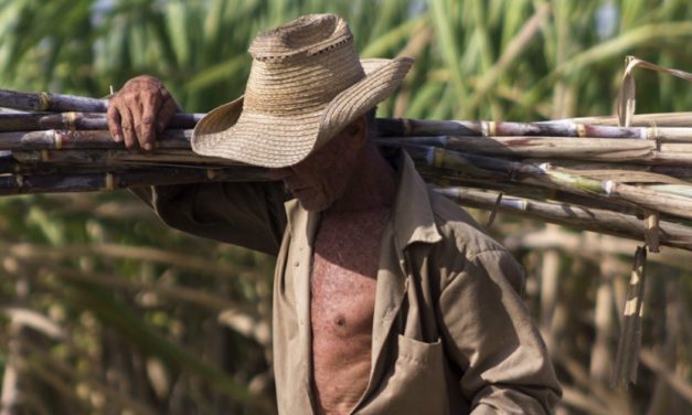 La agroindustria cañera-azucarera no puede ser estatal