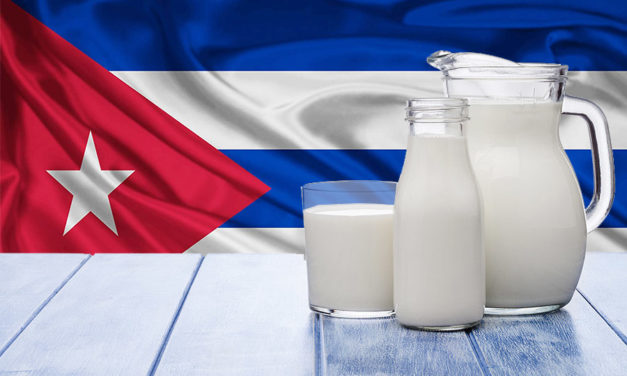 Solo liberando el campo habrá más leche en Cuba