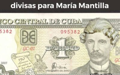 LOS MEJORES MEMES DE LAS TIENDAS EN DÓLARES EN CUBA