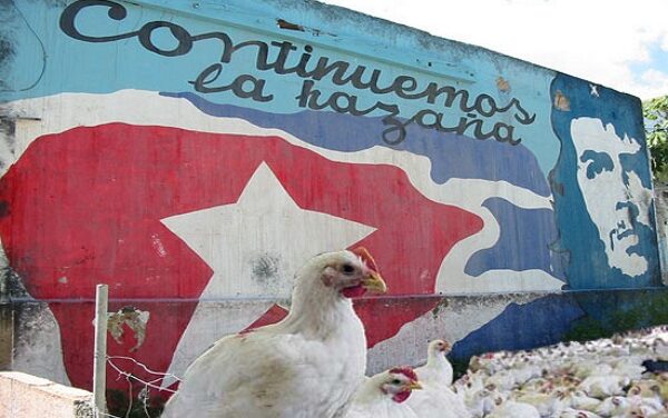 Cuba el único país donde te dicen lo que te toca para comer