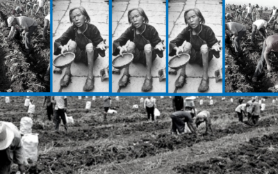 De las comunas de Mao al municipalismo en la agricultura en Cuba