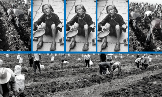 De las comunas de Mao al municipalismo en la agricultura en Cuba