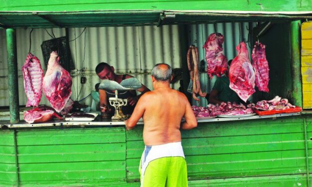 Libra de puerco cuesta a un jubilado 25% de su pensión