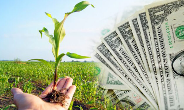 MONOPOLIO GELMA: ¿Cómo afecta a los cubanos la dolarización de los insumos agrícolas?