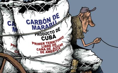 El marabú no se come, pero les da divisas a los militares cubanos