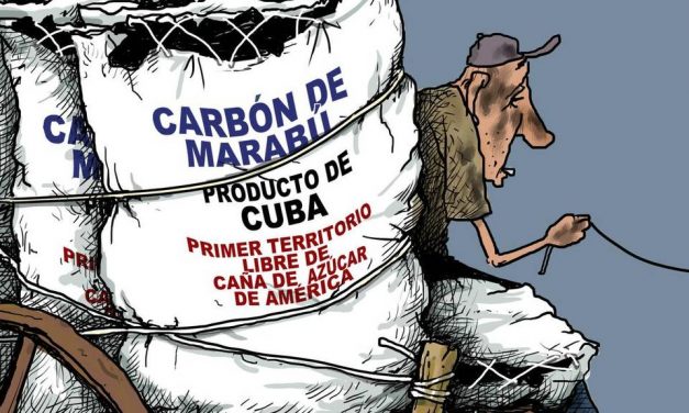 El marabú no se come, pero les da divisas a los militares cubanos