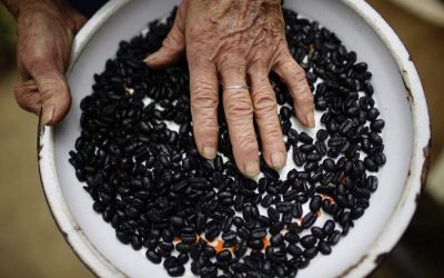 Cuba: a más hambre, menos frijoles
