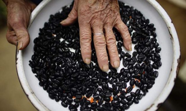 Cuba: a más hambre, menos frijoles