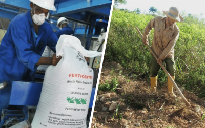 A campesinos cubanos les exigen dólares para aplicar fertilizantes