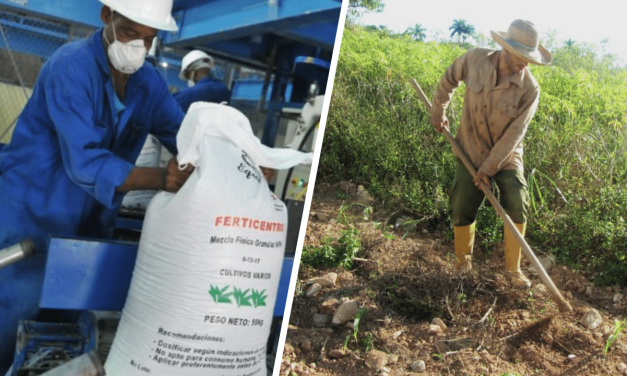 A campesinos cubanos les exigen dólares para aplicar fertilizantes