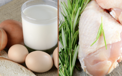 Pollos, huevos y leche en Cuba, los más caros del mundo