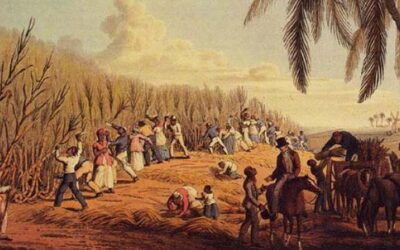 Esclavos cubanos comían mejor que hoy sus tataranietos