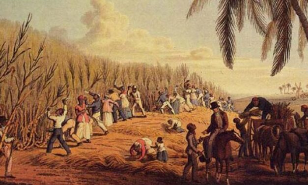 Esclavos cubanos comían mejor que hoy sus tataranietos