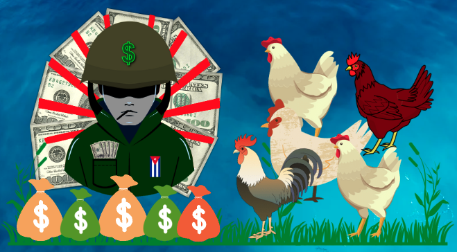 La importación de pollo, un negocio millonario para los mafiosos de GAESA