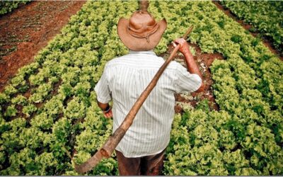 Mafia castrista será más millonaria con acuerdo agrícola con Argentina