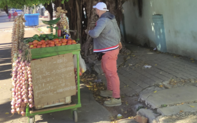 En Cuba el fracaso de 63 medidas agrícolas apunta a una hambruna