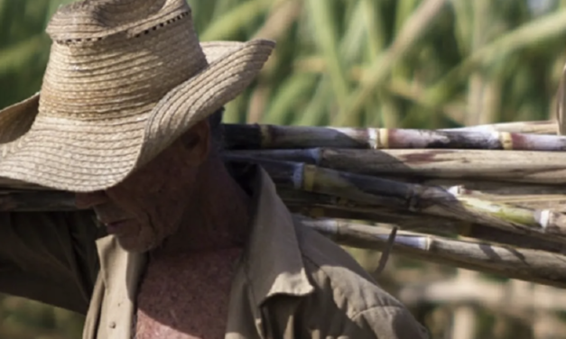 Terminó la más baja zafra azucarera de Cuba desde hace 154 años