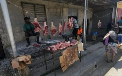 ¡Qué país!, comprar 4 libras de carne de cerdo se lleva el 57% de un salario