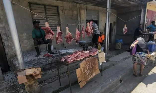 ¡Qué país!, comprar 4 libras de carne de cerdo se lleva el 57% de un salario