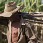 “La economía se recupera”, Cuba producirá menos azúcar que hace 177 años