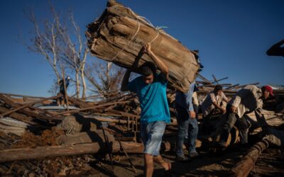 Sucumbió la industria tabacalera cubana, la más importante luego de la turística
