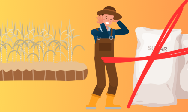 Another Castro feat: the worst harvest since 1850    